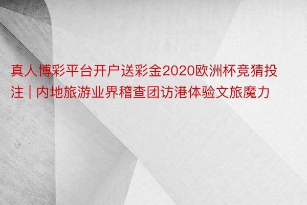 真人博彩平台开户送彩金2020欧洲杯竞猜投注 | 内地旅游业界稽查团访港体验文旅魔力